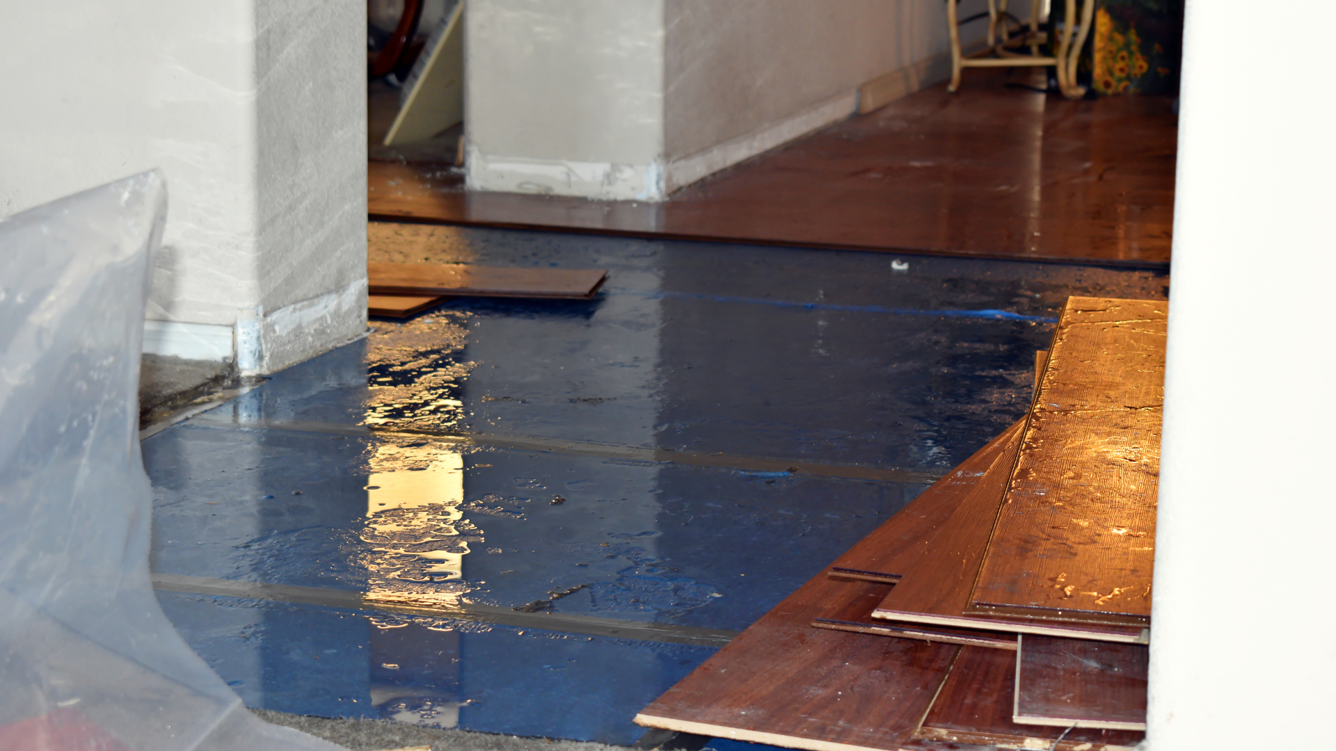 2 water damage restoration ca