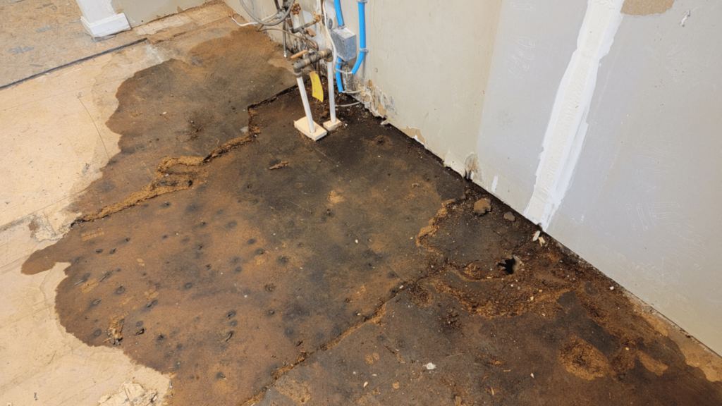 Water Damage Restoration